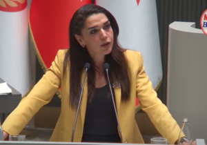 Fide Kürşat: “Rant yaratmak için bir yasa hazırlanmıştır”