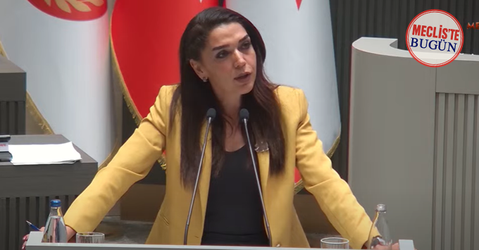 Fide Kürşat: “Rant yaratmak için bir yasa hazırlanmıştır”