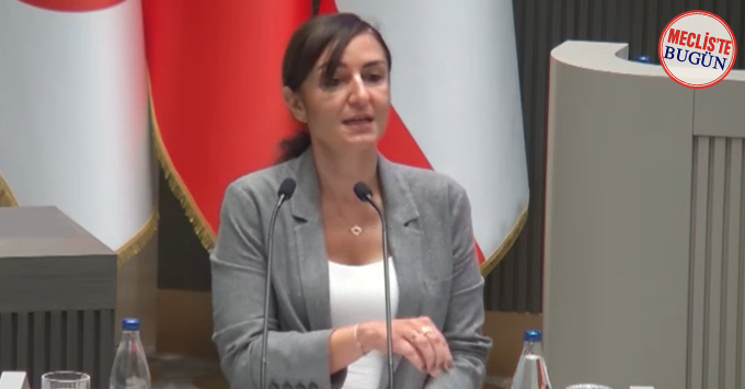 Rogers: “Bir gün yetersiz eğitimli bir hekimin ellerinde ölen sizin çocuğunuz da olabilir”