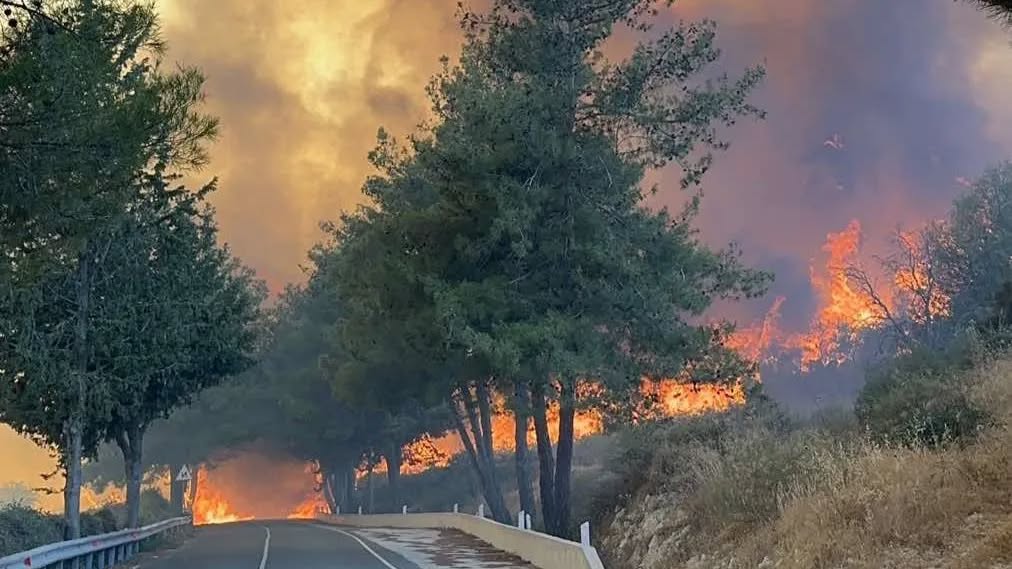 Limasol’daki yangın felaketine karşı dayanışma çağrısı: AKEL ve PEO sahada