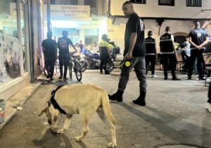 Polisten eş zamanlı denetim: 917 kişiye yasal işlem uygulandı, 9 kişi tutuklandı