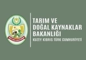 Tarım Bakanlığı: Orman yangını riski kritik seviyede, tüm ateşli piknikler yasaklandı