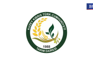 Tarım Dairesi: Yerli ve ithal ürünlerde pestisit kirliliği yüzde 4-6 arasında