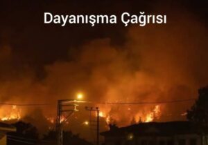Kuzeyden yangına karşı toplumsal dayanışma çağrısı