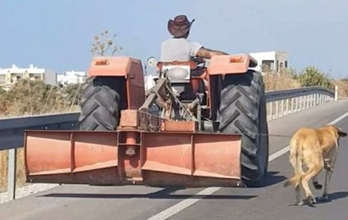 Köpeğe işkence eden traktör sürücüsüne ceza