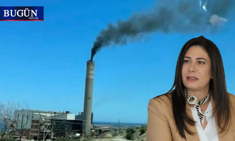 CTP Sözcüsü Sıla Usar İncirli: “Gerekli önlemler alınmadığı için 4 çalışan zehirlendi”