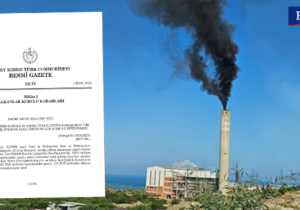 Bakanlar Kurulu, El-Sen’in Teknecik’teki grevini 60 gün erteledi