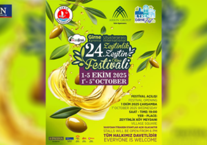 24. Uluslararası Zeytin Festivali başlıyor