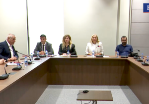 Meclis olağanüstü toplanacak: “İki Devletli Çözüm” önerisi UBP’li vekillerin oylarıyla komiteden geçti