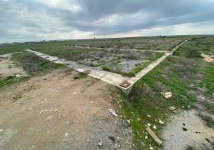 Şehir Plancıları Odası: “Mağusa’daki İlahiyat Koleji Projesi, İmar Planı’na aykırı, öğrenci güvenliği riski yaratıyor”