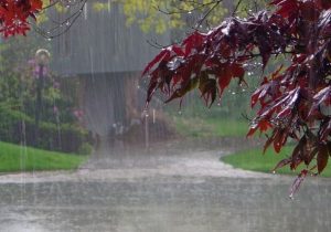 Şirketler Kıbrıs’a “yağmur getirebiliriz” diyor
