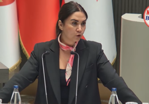 Baybars: “Sabıka kaydı silme yasası, toplum güvenliğini riske atıyor”