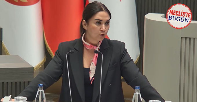 Baybars: “Sabıka kaydı silme yasası, toplum güvenliğini riske atıyor”