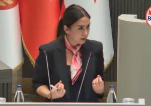 Baybars: “Fiber protokolü, kamusal yetkileri özel bir şirkete devrediyor”