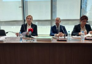 2026 bütçe görüşmelerinde Cumhurbaşkanlığı ve Başbakanlık kalemleri komitede ele alınıyor