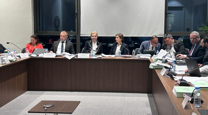 Başbakanlık ve BRT bütçeleri komitede oy çokluğuyla kabul edildi