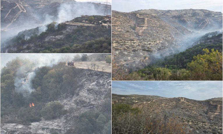 Baf’taki yangın kontrol altında: “Açıkça kundaklama şüphesi var, normal değil”