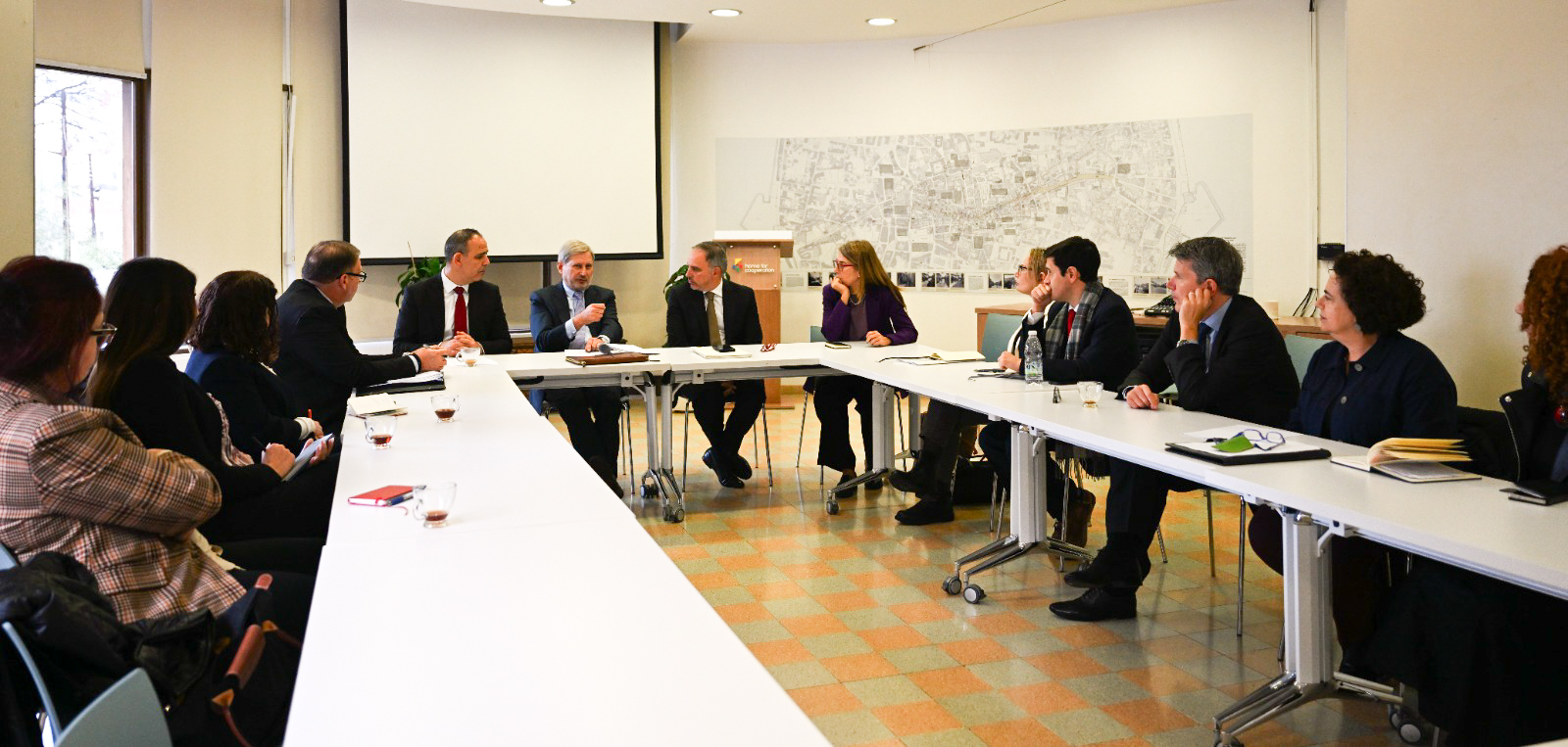 Harmancı: “AB Mali Yardım Programı sadece bir enstrümandır, Kıbrıs’ı çözüme yaklaştırmak için AB’ye daha büyük görev düşüyor”