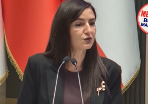 Rogers: “İnsan ticareti görmezden geliniyor, çocuklar korunamıyor, yaşlılar sahipsiz bırakılıyor”