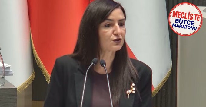 Rogers: “İnsan ticareti görmezden geliniyor, çocuklar korunamıyor, yaşlılar sahipsiz bırakılıyor”