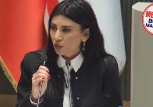 Özdenefe: “Ceza davalarındaki patlama mevcut altyapıyla yönetilemez!”