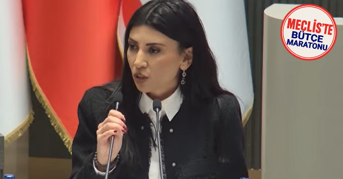 Özdenefe: “Ceza davalarındaki patlama mevcut altyapıyla yönetilemez!”