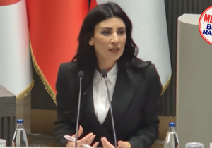 Özdenefe: “Yasa yapmıyor, Meclisi devre dışı bırakıyor, yasa gücünde kararnamelerle ülkeyi yönetiyorsunuz”