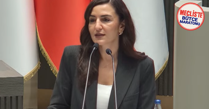 Rogers: “Kumar ve tatil evi yasaları turizmin geleceğine darbe vurdu”