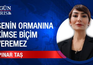 Senin Ormanına Kimse Biçim Veremez