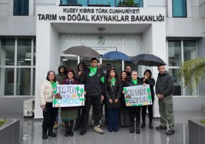 Patika Doğa Sporları Derneği’nden Anayasa vurgusu: “Ormanlar halkındır, gelir kaynağına dönüştürülemez”