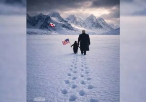 Beyaz Saray’dan Grönland bayraklı “Pengueni kucakla” paylaşımı geldi; sosyal medya yıkıldı: Kuzey Yarımküre’de penguen yok!