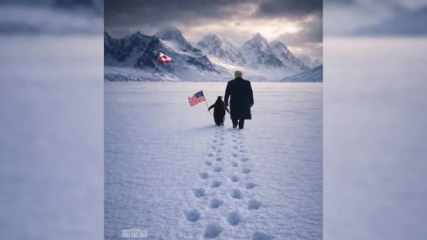 Beyaz Saray’dan Grönland bayraklı “Pengueni kucakla” paylaşımı geldi; sosyal medya yıkıldı: Kuzey Yarımküre’de penguen yok!