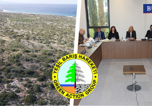 Meclis yargıya müdahale ediyor | Komite, mahkemelik olan 3 bin 600 dönüm orman için yasa hazırlıyor