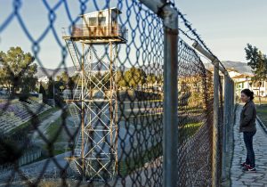 Yabani ot toplarken mahkemelik oldu: Güney serbest bırakılması için devrede