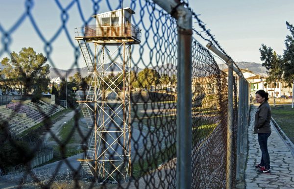 Yabani ot toplarken mahkemelik oldu: Güney serbest bırakılması için devrede