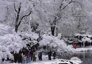New York’ta soğuk hava nedeniyle 18 kişi hayatını kaybetti