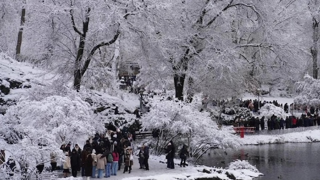 New York’ta soğuk hava nedeniyle 18 kişi hayatını kaybetti