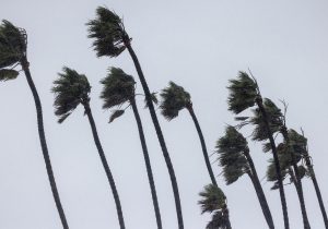 Kıbrıs’ta 7 bofora kadar fırtına uyarısı