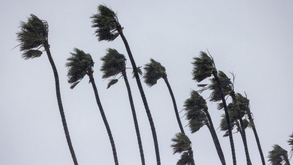 Kıbrıs’ta 7 bofora kadar fırtına uyarısı