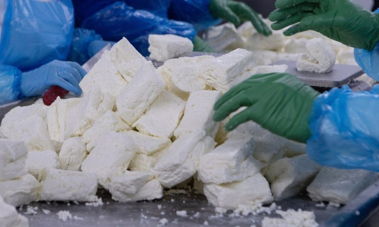 Şap krizi I Yetkililer güvence veriyor: Hellim piyasaya güvenle sunuluyor