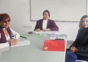 Dizdarlı’nın katkı sunduğu MEK raporu: Gazetecilik cezai baskı altına alınıyor