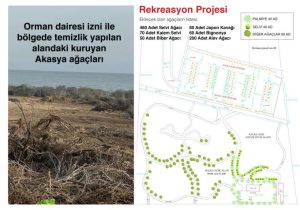 İskele’deki orman arazisine ilişkin şirketten açıklama: “Sözleşme rant amacı taşımıyor”