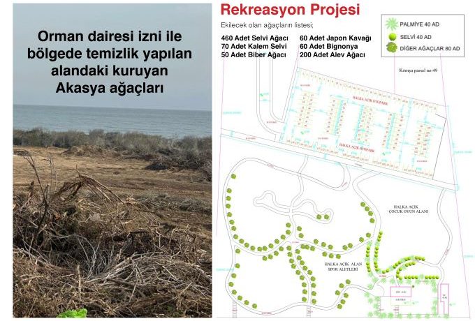 İskele’deki orman arazisine ilişkin şirketten açıklama: “Sözleşme rant amacı taşımıyor”