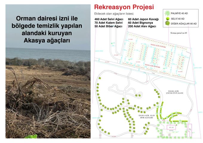 İskele’deki orman arazisine ilişkin şirketten açıklama: “Sözleşme rant amacı taşımıyor”