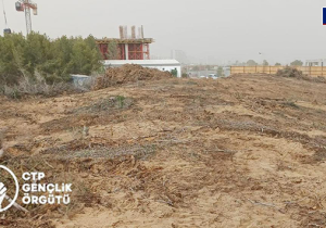 CTP Gençlik Örgütü’nden sert çıkış: “Ormanlar babanızın malı değil!”