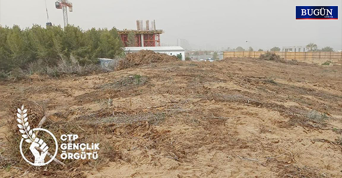 CTP Gençlik Örgütü’nden sert çıkış: “Ormanlar babanızın malı değil!”