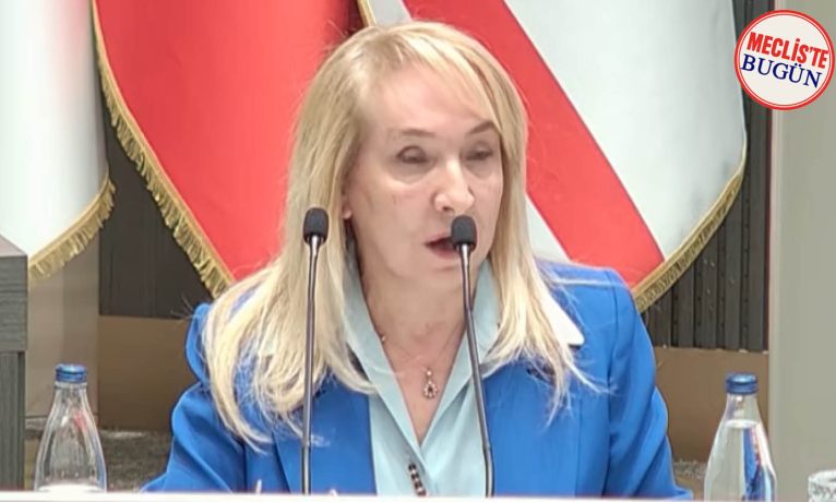 Besim: “Uçurumun içindeyiz, YÖDAK planlama ve denetimi yapmak zorundadır”