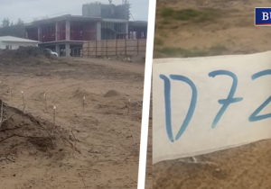 Yeşil Barış Hareketi: “İskele Ötüken Ormanı’nda çevre kıyımı devam ediyor!”