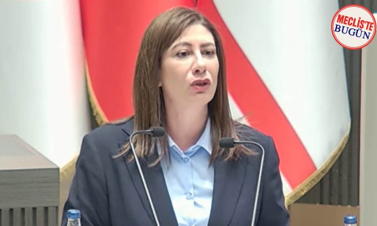 İncirli: “Devleti sildiniz, egemenliği devrediyorsunuz”