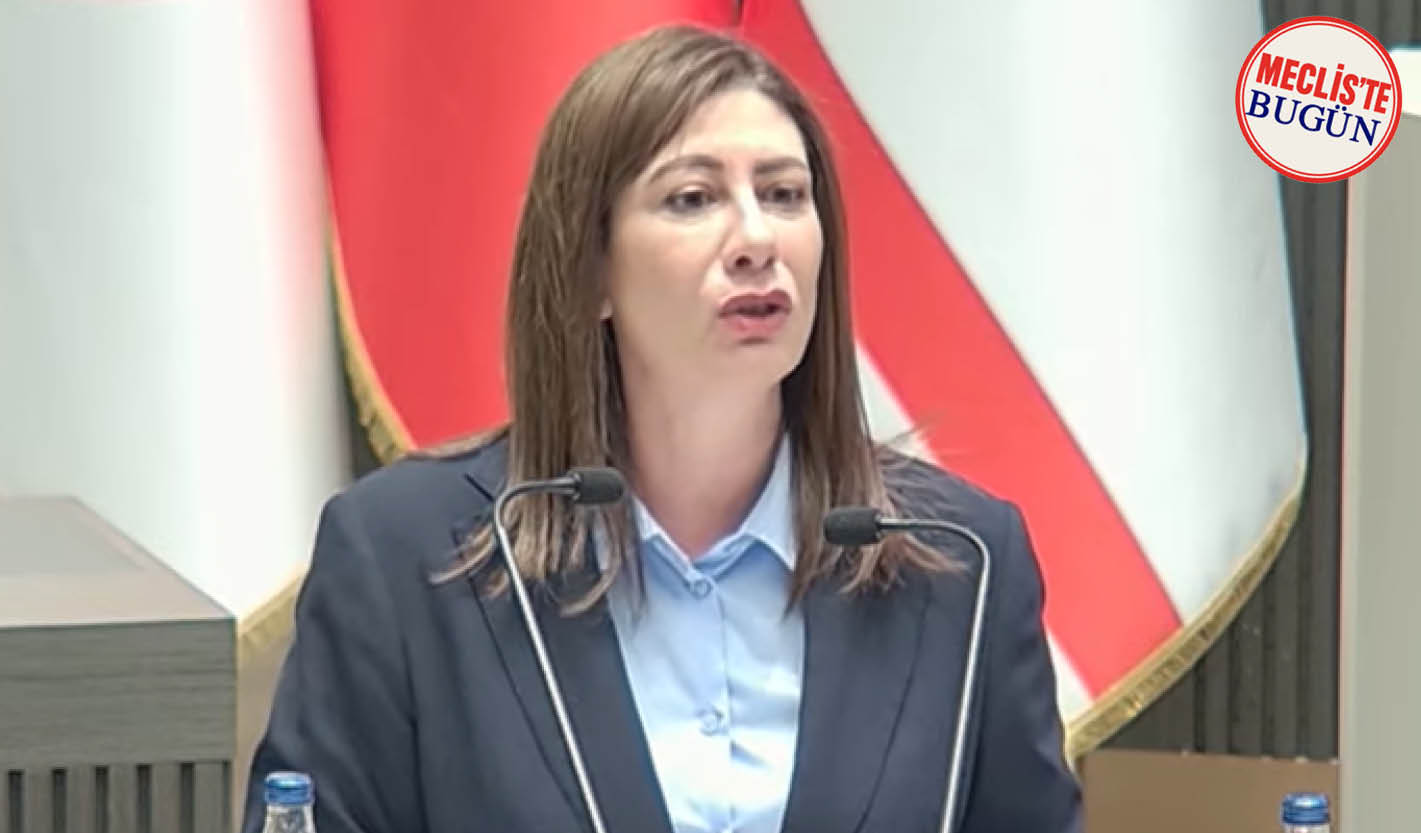 İncirli: “Devleti sildiniz, egemenliği devrediyorsunuz”